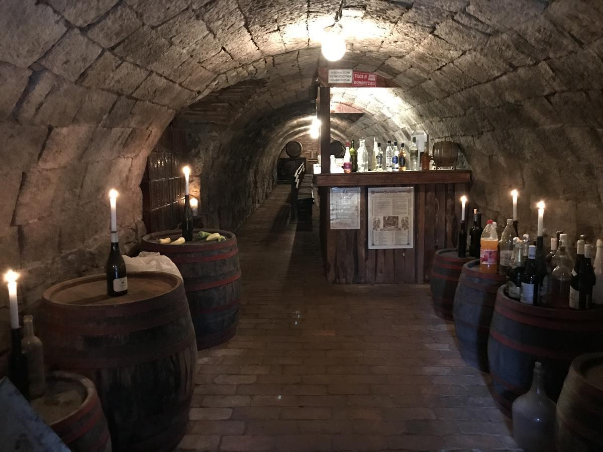 Ovar 12 Vendeghaz Tokaj Bagian luar foto